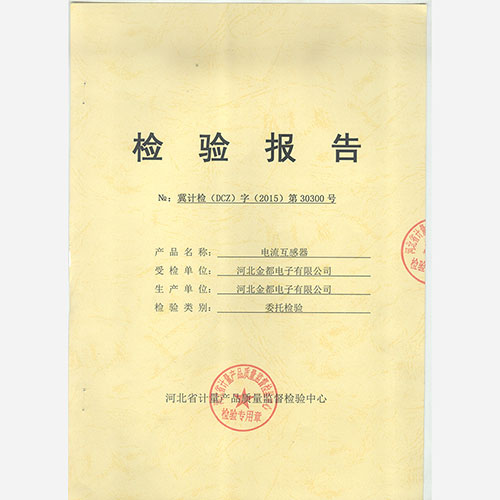 Inspection Report